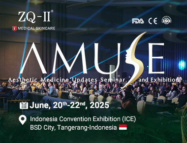 ZQ-II ຢູ່ທີ່ imeuse ອິນໂດເນເຊຍ | ວັນທີ 20 ມິຖຸນາ 2-2